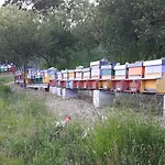 Oda ve Kahvaltı Casalotto Francescano Mengara