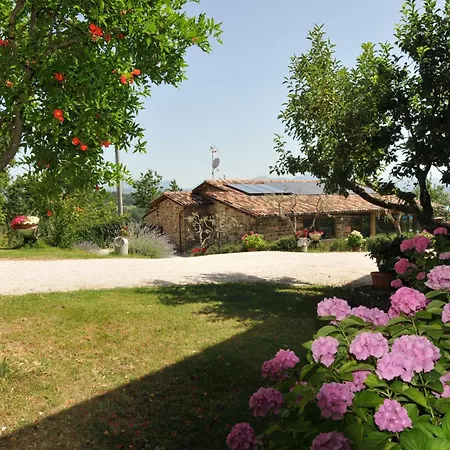 Casalotto Francescano Bed & Breakfast 4*