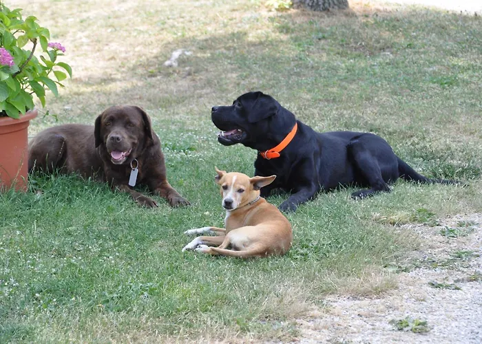 Casalotto Francescano Alojamento de Acomodação e Pequeno-almoço Mengara