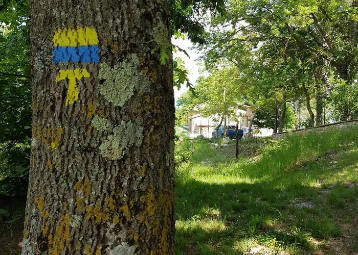 Alojamento de Acomodação e Pequeno-almoço Casalotto Francescano